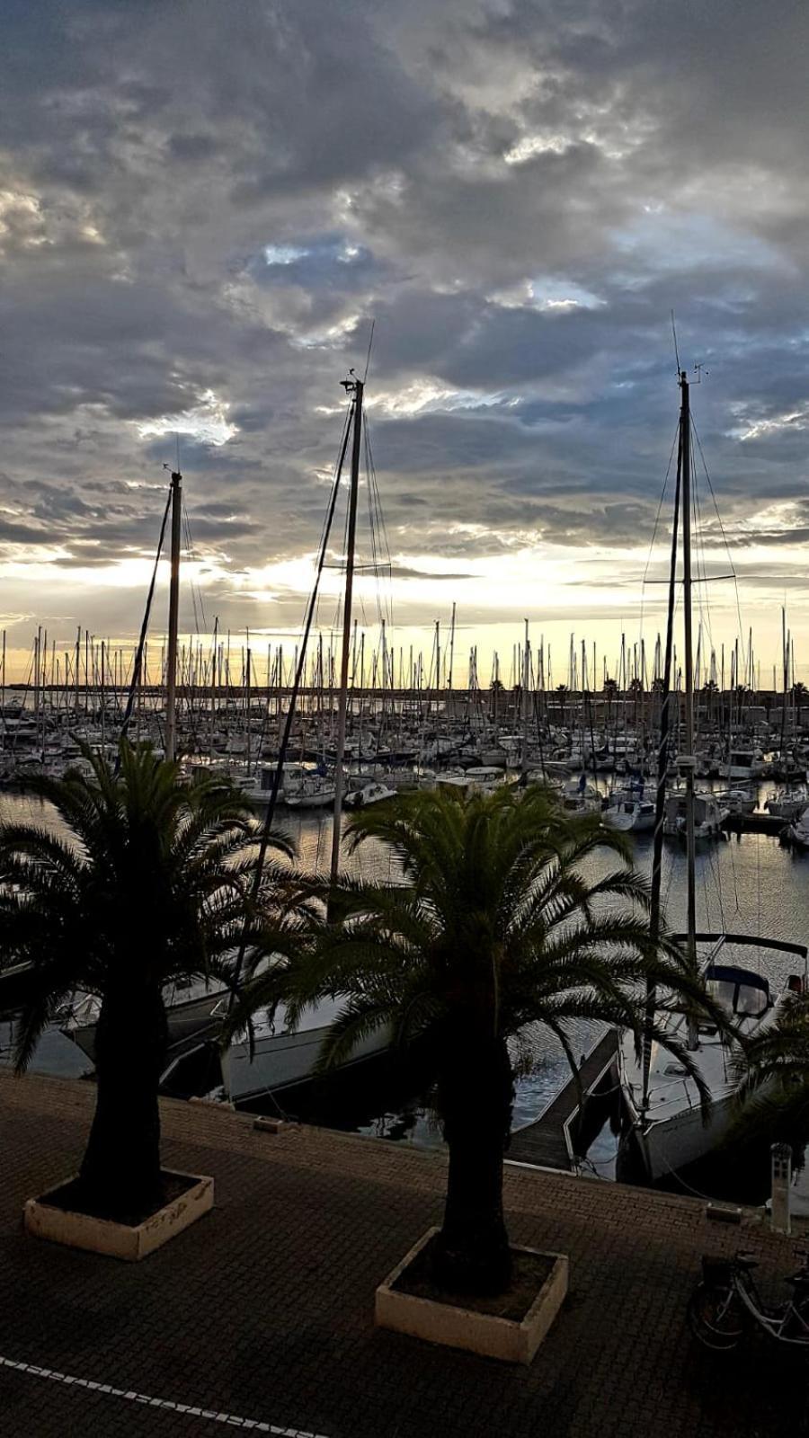 شقة T2 Sur Le Port Avec Parking جرْويسا المظهر الخارجي الصورة