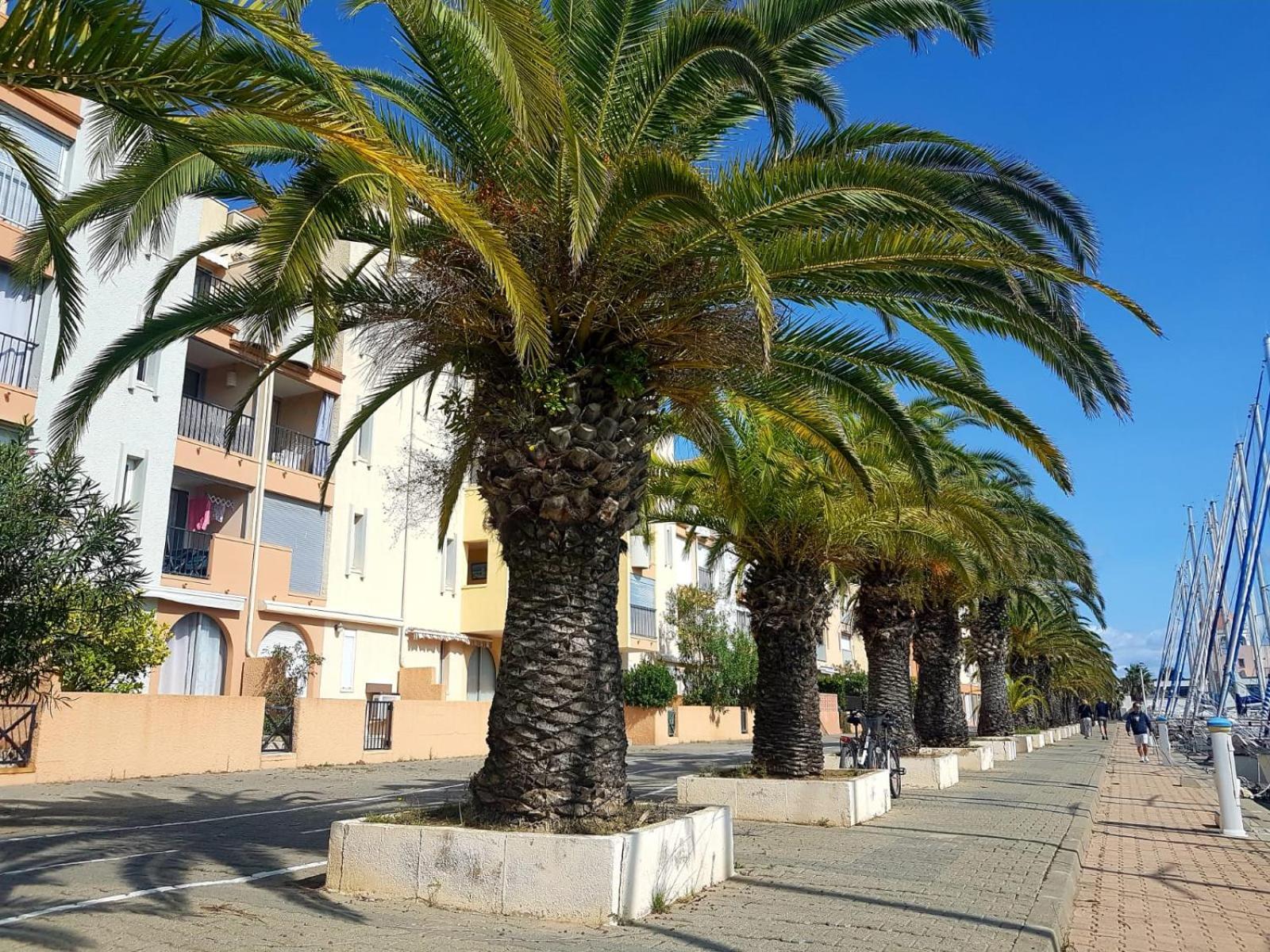 شقة T2 Sur Le Port Avec Parking جرْويسا المظهر الخارجي الصورة